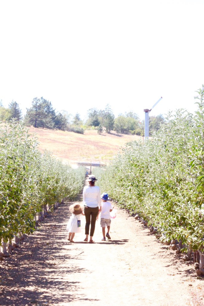 Huerto de manzanas. Apple picking with kids