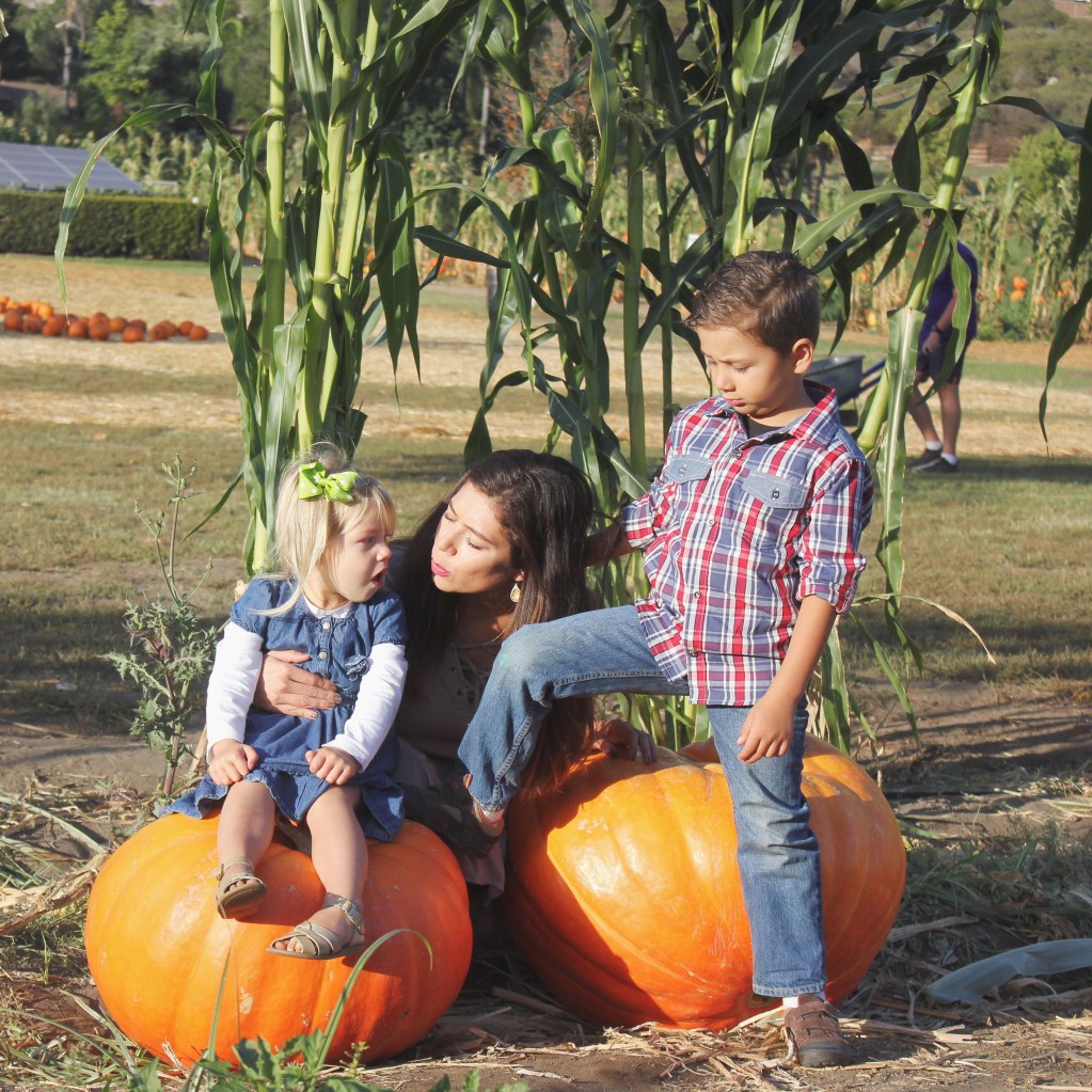pumpkin patch