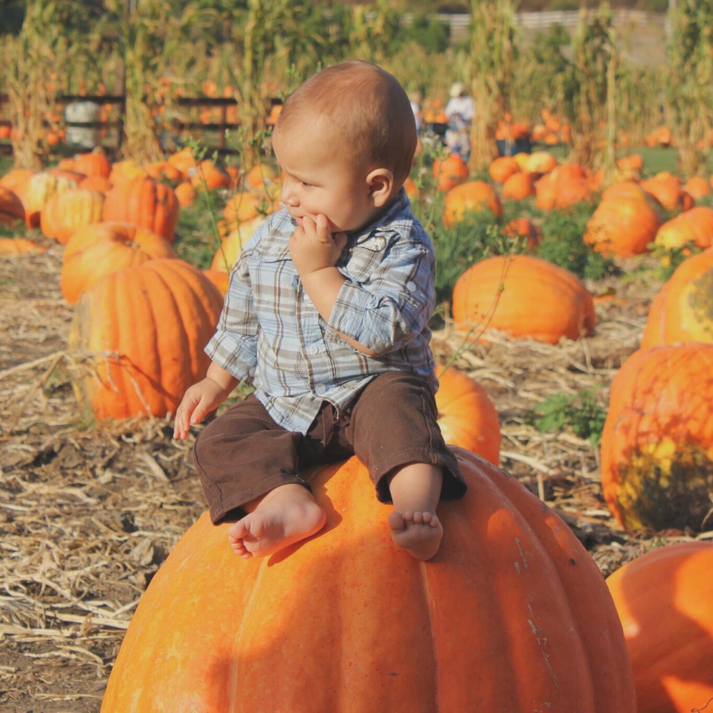 Octubre es de&nbsp;Calabazas!