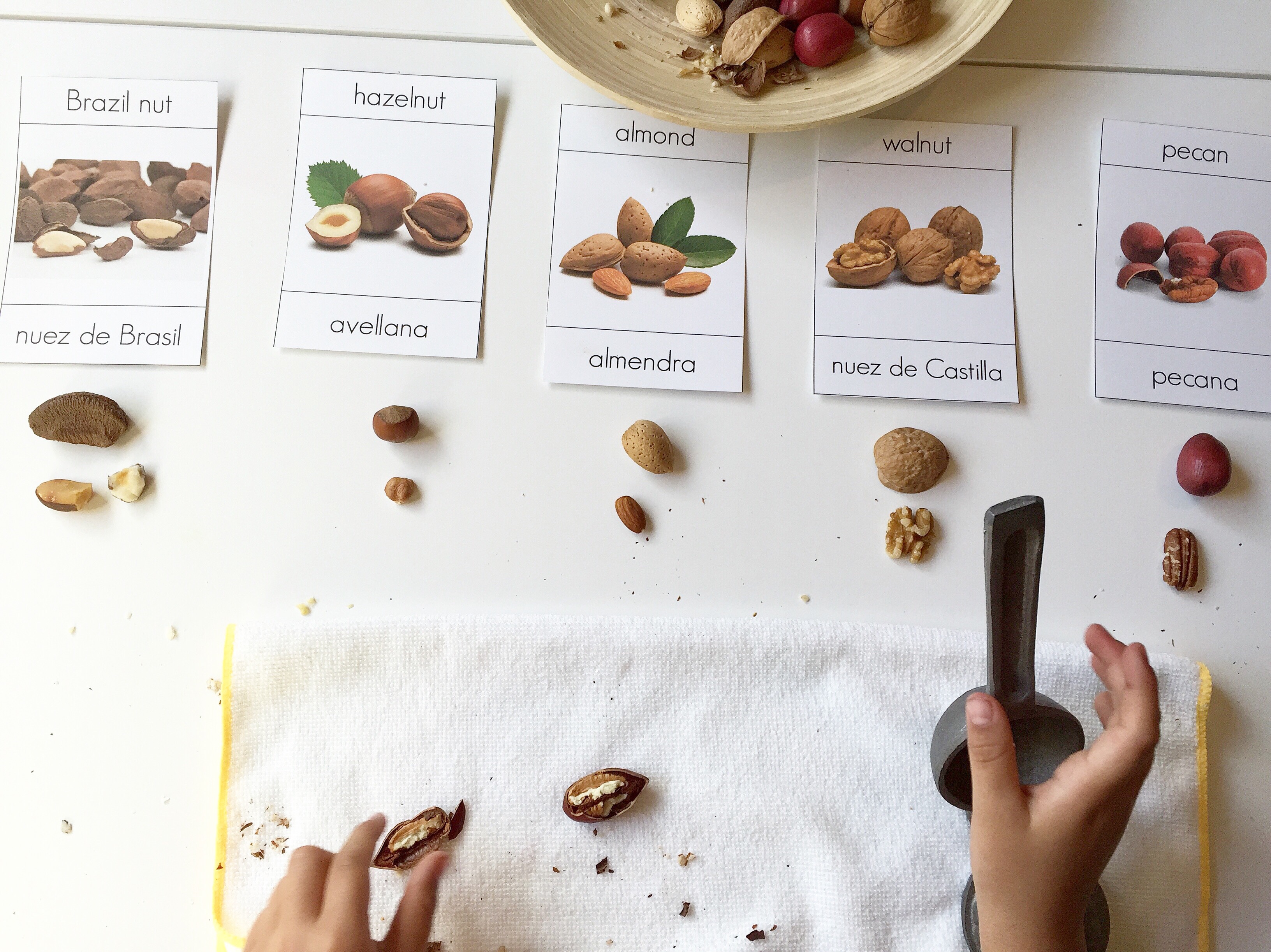 3 part montessori cards nuts bilingual cards nueces