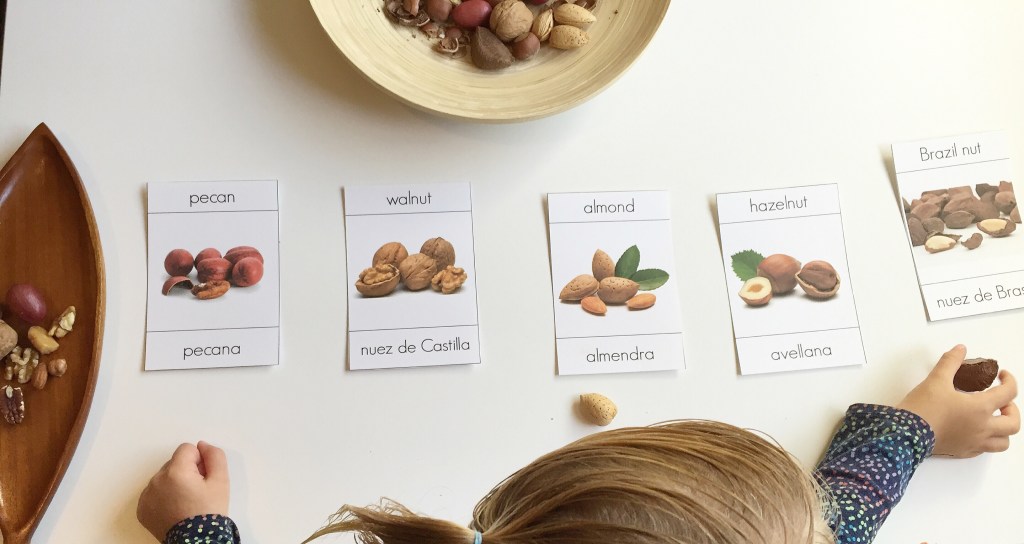 Un poquito sobre&nbsp;Nueces