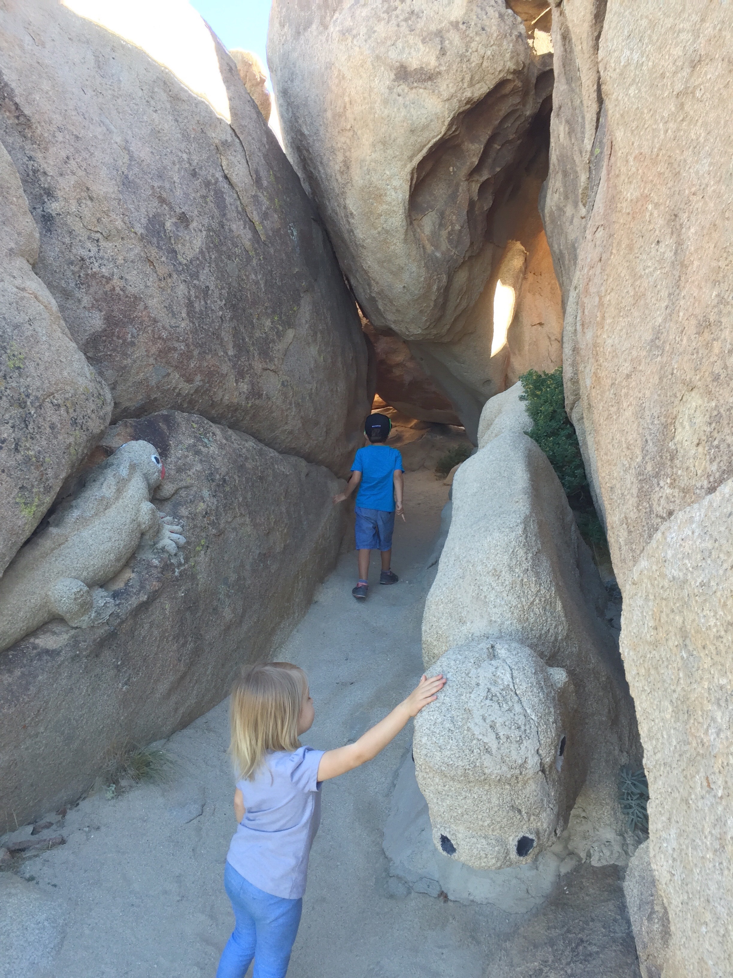 Desert View Tower and Boulder Park