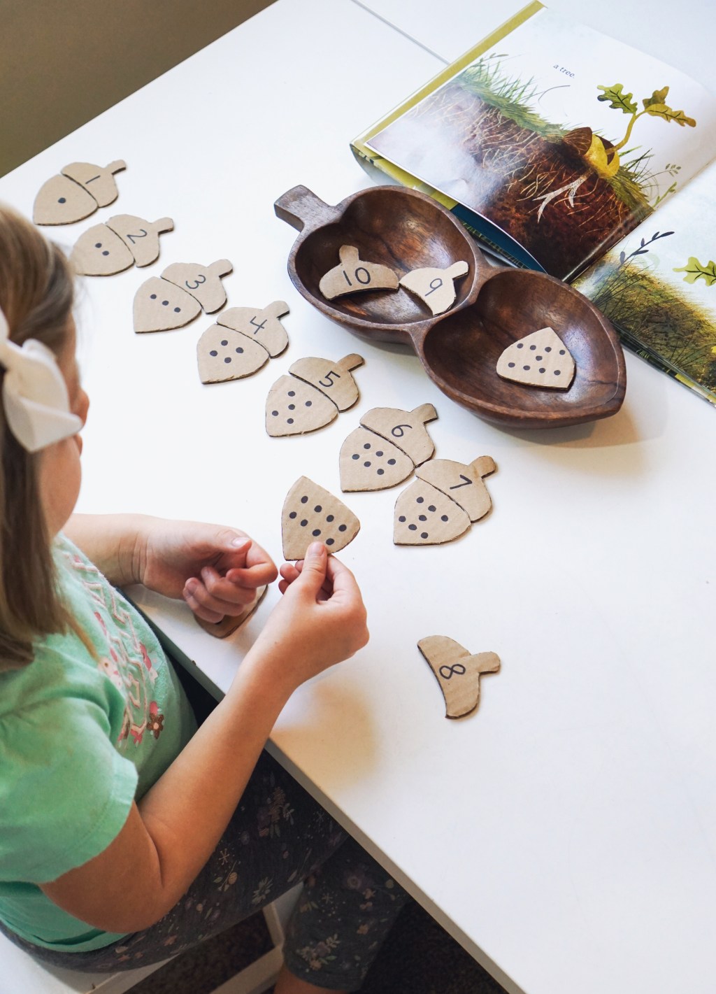 ¡Puzzle de Bellotas hechas de&nbsp;carton!